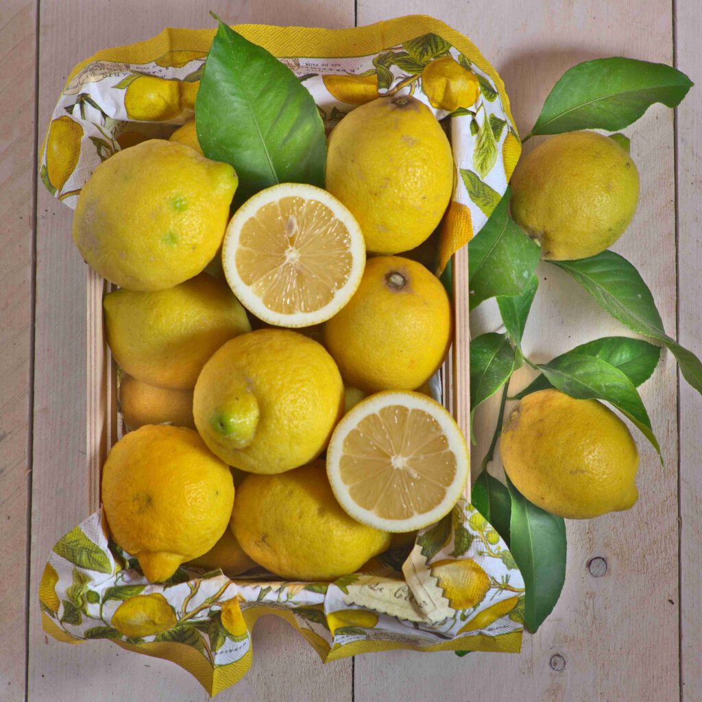 Sizilianische Zitronen direkt vom Baum