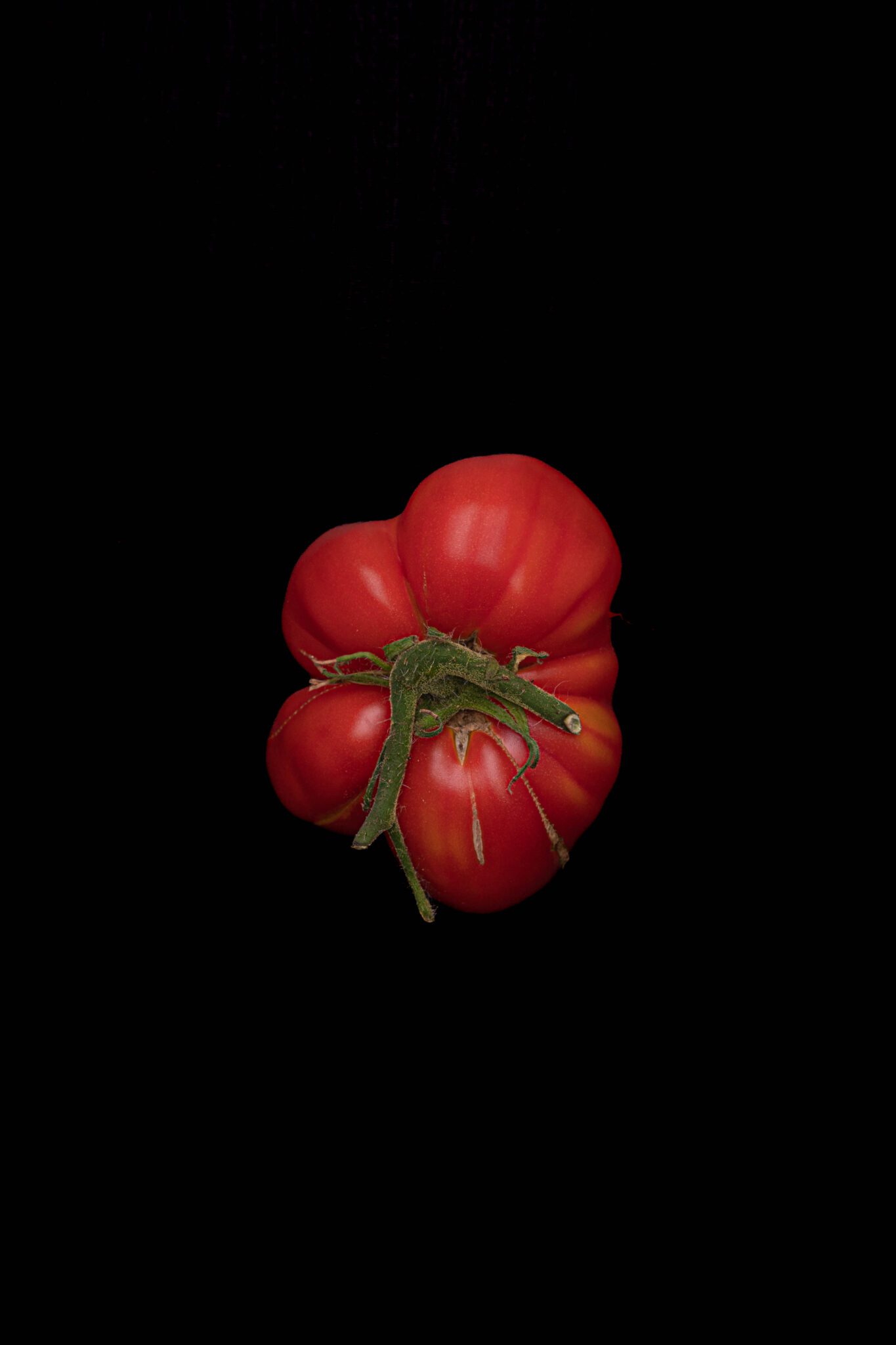 Lehrertomate - Seltene Tomate aus der Toskana