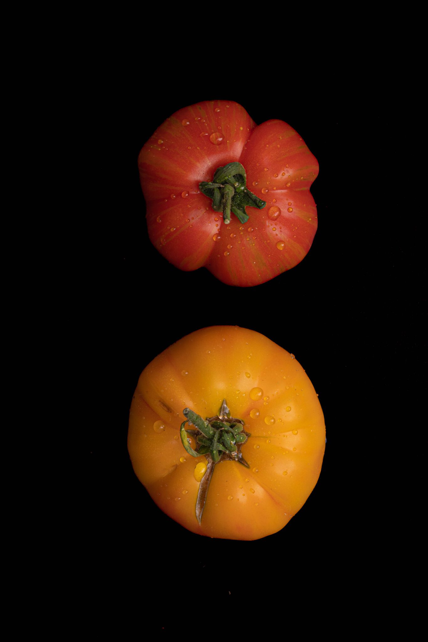 Auf schwarzem Untergrund liegen eine rote und eine gelbe Tomate. Ansicht von oben mit grünem Stängelansatz. Foto Genussfotografin Sabine Hennek